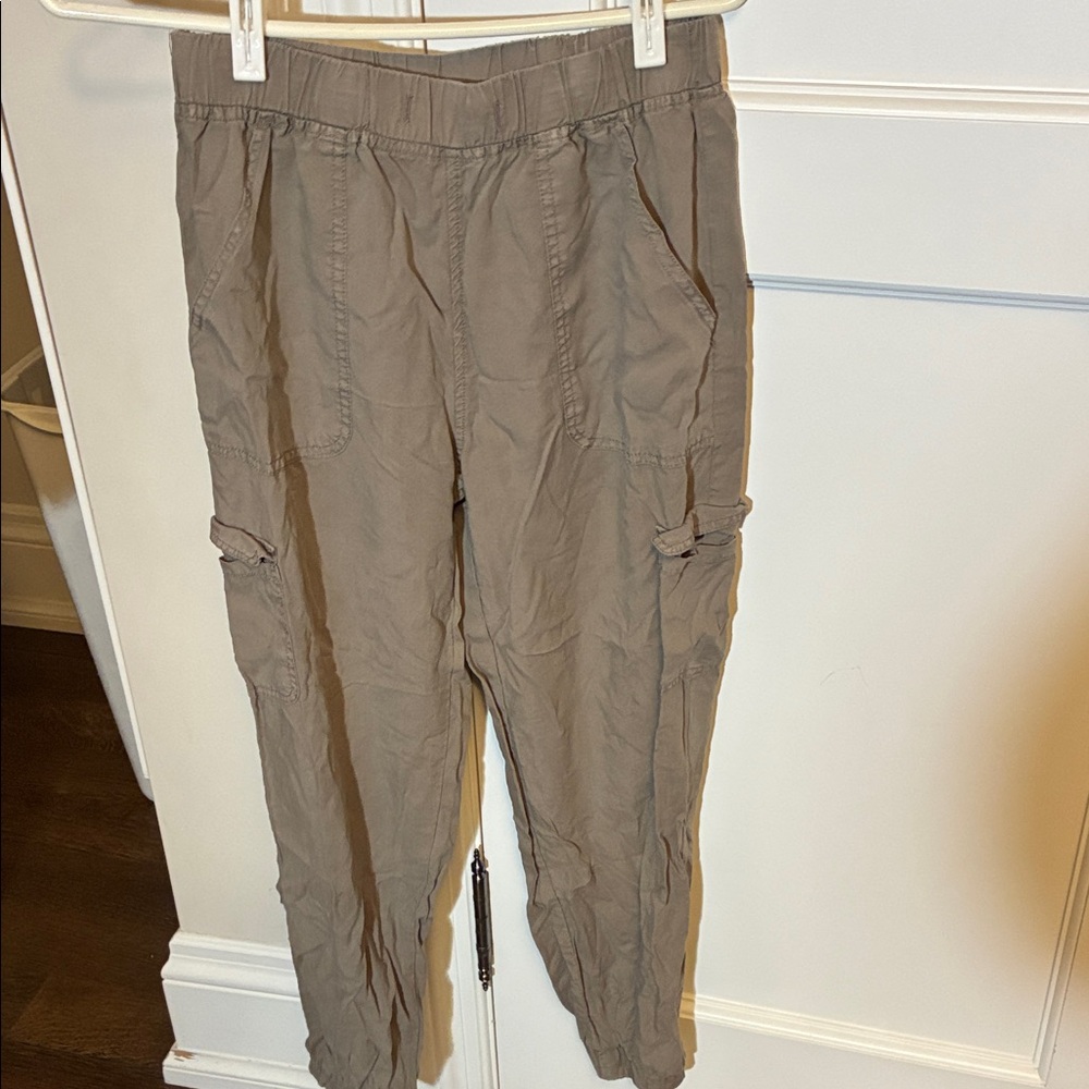 Thread & Supply Cargo Pants in Tan 🦜